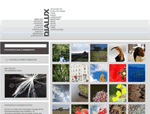 Tablet Screenshot of dialux.de